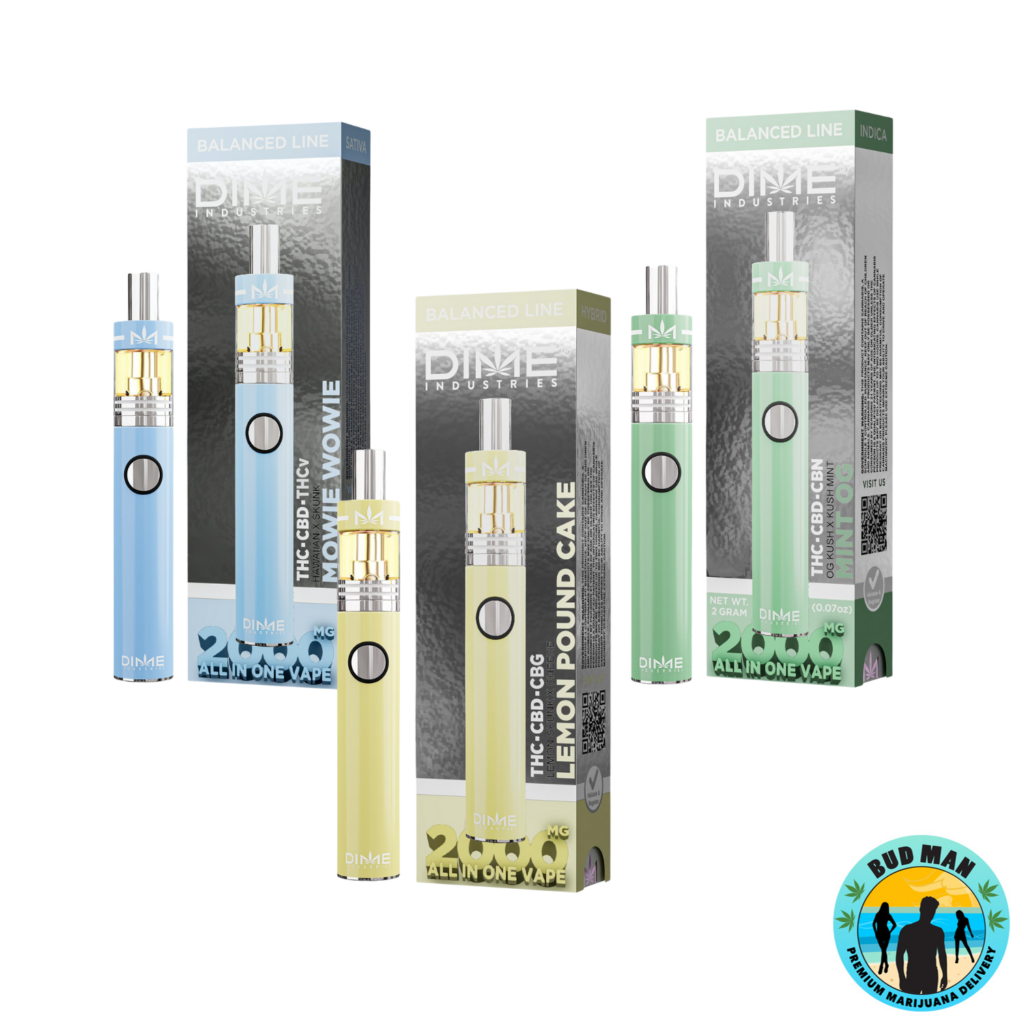 DIME Balanced Line Disposable Vape (2 grams – 3 options): Bud Man ...