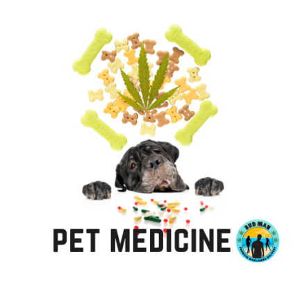 CBD Pet Treats